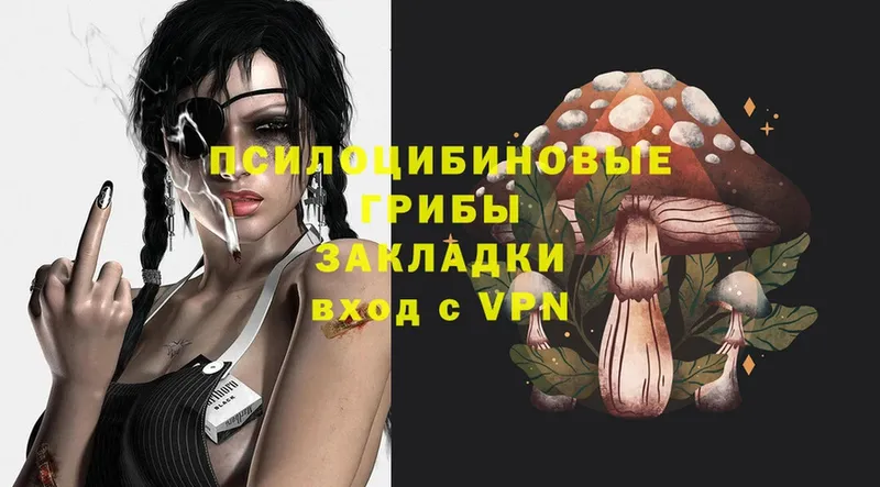 Псилоцибиновые грибы Magic Shrooms  Тосно 